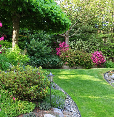 a well landscaped garden with a grass walkway