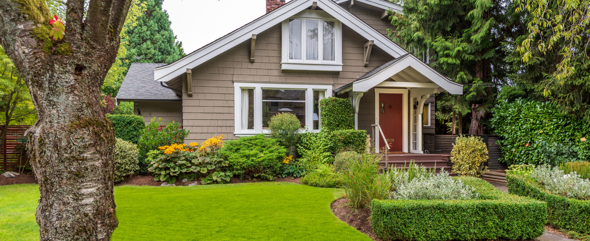 Emerald Island Image